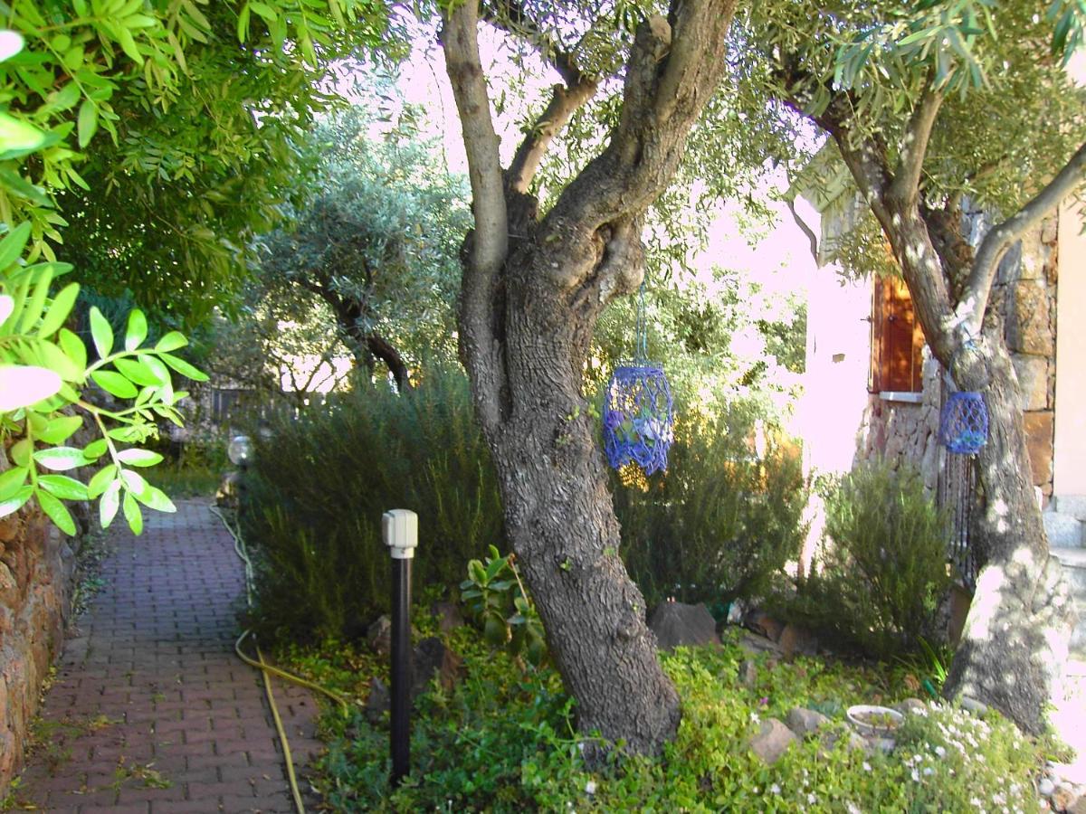 Secret Garden Apartment Budoni Ngoại thất bức ảnh